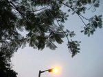 IMG_9401