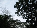 IMG_9402