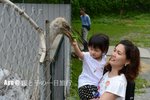 DSC_4844 (??)