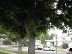 PICT0010