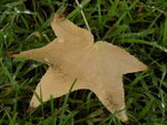 PICT0013