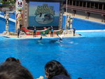 PICT0016