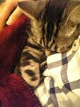 moblog_319108