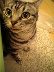 moblog_319202