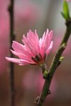 IMG_7083