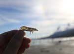 IMG_2698