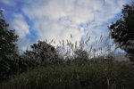 IMG_2842