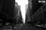 IMG_7308
