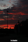 IMG_1845