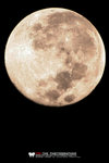 IMG_4061a