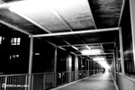 IMG_9046