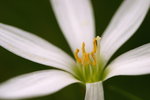 IMG_0063
