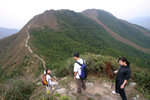 �V�j�M岃���p�i�o