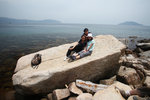 YY�BOgee & �}@�ç���