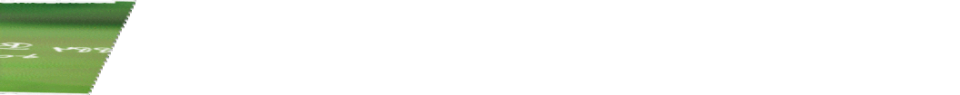 HBtoSuki