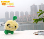 PJT_0291-01