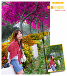 c -PJT_0371