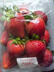 Majestic Strawberries