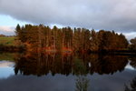 IMG_1696level