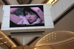 IMG_8986_resize