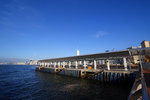 IMG_4653_resize