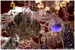 IMG_8100_resize