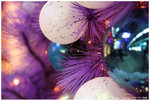 IMG_8108_resize