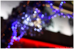 IMG_8110_resize