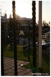 IMG_3124_resize