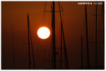 IMG_3154_resize