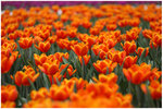 IMG_4995_resize
