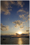 IMG_4397_resize
