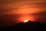 IMG_8446_resize