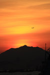IMG_8455_resize