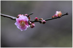 IMG_3307_resize