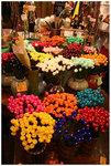 IMG_8932_resize