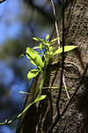 IMG_8333_resize