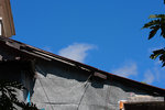 IMG_8335_resize