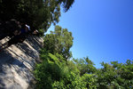 IMG_8339_resize