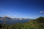 IMG_8355_resize
