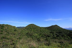 IMG_8401_resize