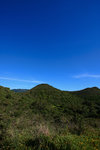 IMG_8406_resize