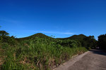 IMG_8412_resize