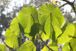 IMG_2744_resize