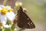 IMG_2754_resize