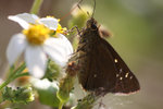 IMG_2766_resize