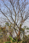 IMG_2787_resize