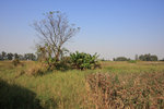 IMG_2788_resize