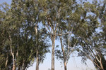 IMG_2800_resize