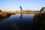IMG_2822_resize